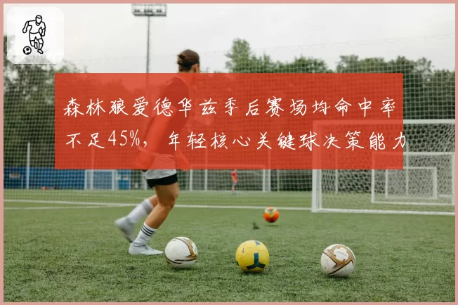 森林狼爱德华兹季后赛场均命中率不足45%，年轻核心关键球决策能力待检验
