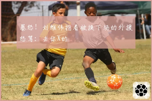 暴怒！刘维伟指着被换下场的外援怒骂：去你X的