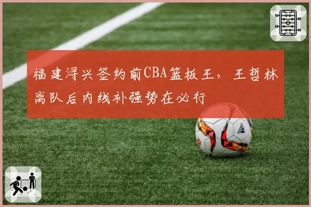 福建浔兴签约前CBA篮板王，王哲林离队后内线补强势在必行