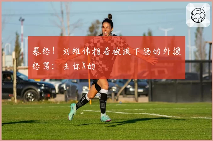 暴怒！刘维伟指着被换下场的外援怒骂：去你X的