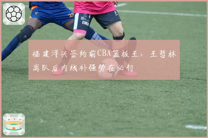 福建浔兴签约前CBA篮板王，王哲林离队后内线补强势在必行
